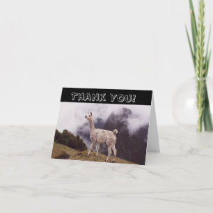 Llama Machi Picchu Peru Mountain Letterpress Thank You Card