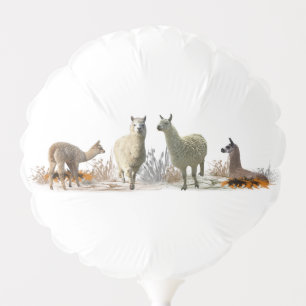 Llama Meadow Balloon (choose colour)