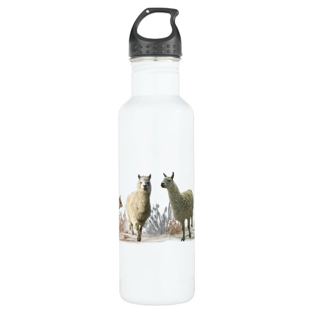 Llama Meadow Water Bottle (Front)