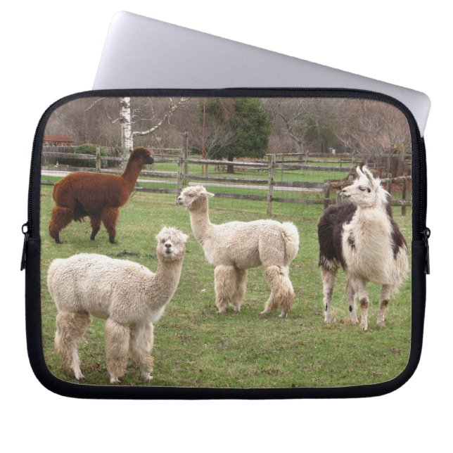 Llama Melange ~ Laptop Sleeve (Front)