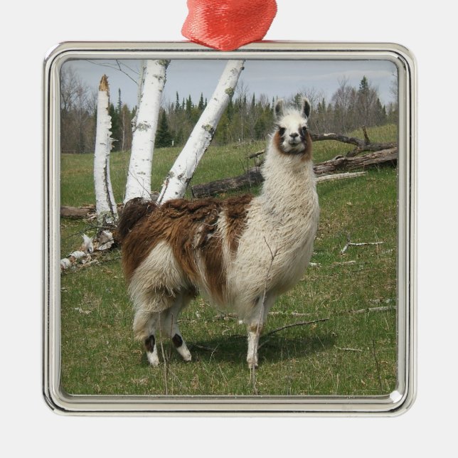 LLAMA METAL ORNAMENT (Front)