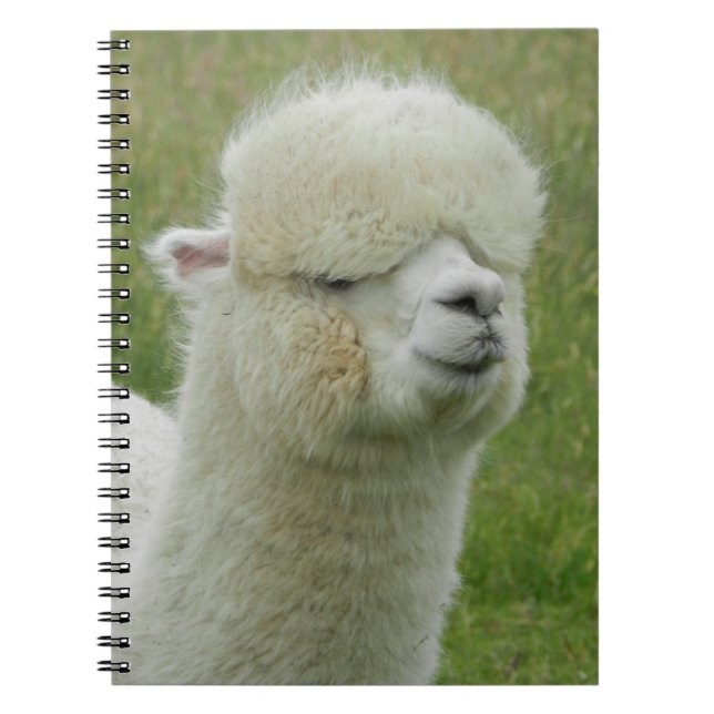 Llama Notebook (Front)