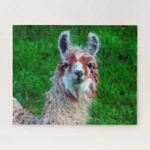 Llama on a Farm, Jigsaw Puzzle