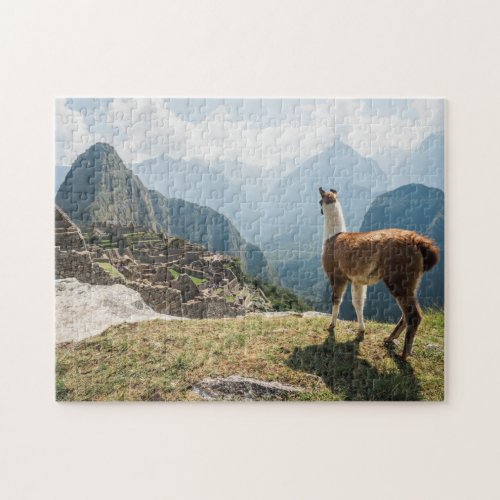 Llama Overlooking Ruins  Machu Picchu Peru Jigsaw Puzzle