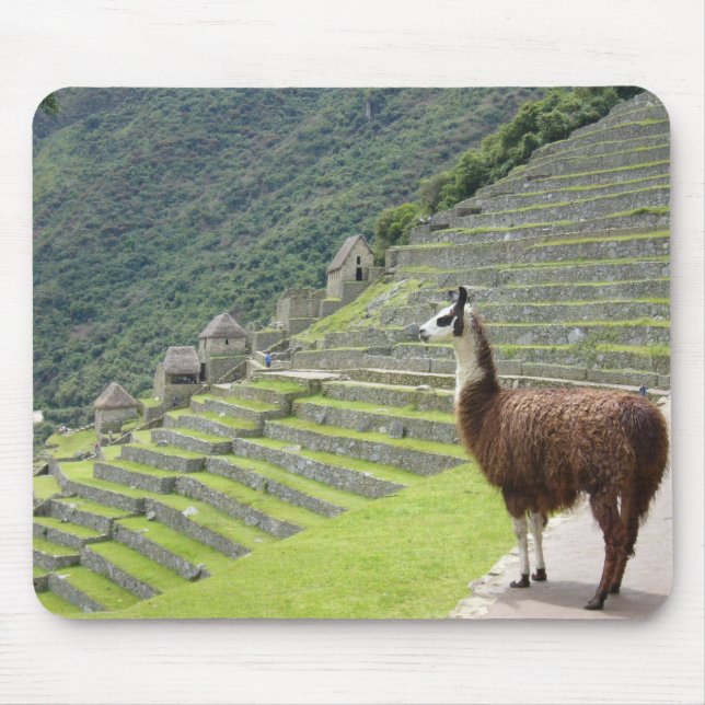llama pad mouse pad (Front)