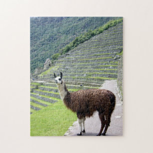 llama peru jigsaw puzzle