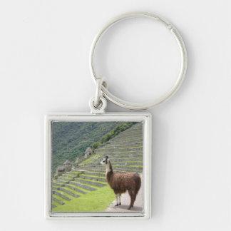 llama peru keychain