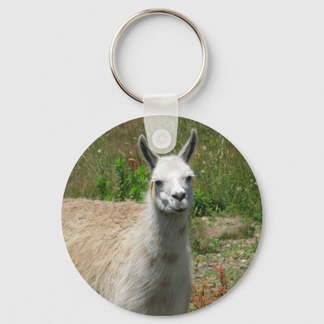 Llama Photograph Keychain (Front)