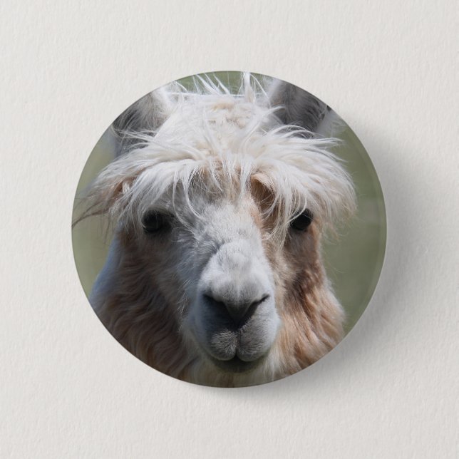 Llama Pinback Button (Front)