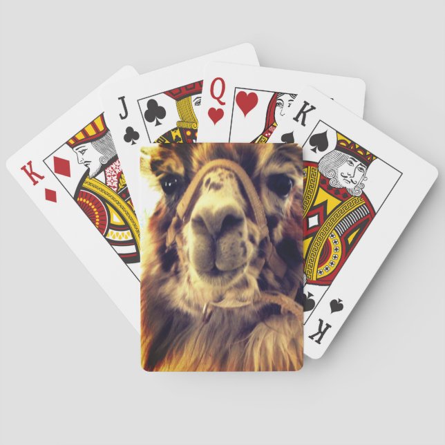 Llama Playing Cards (Back)