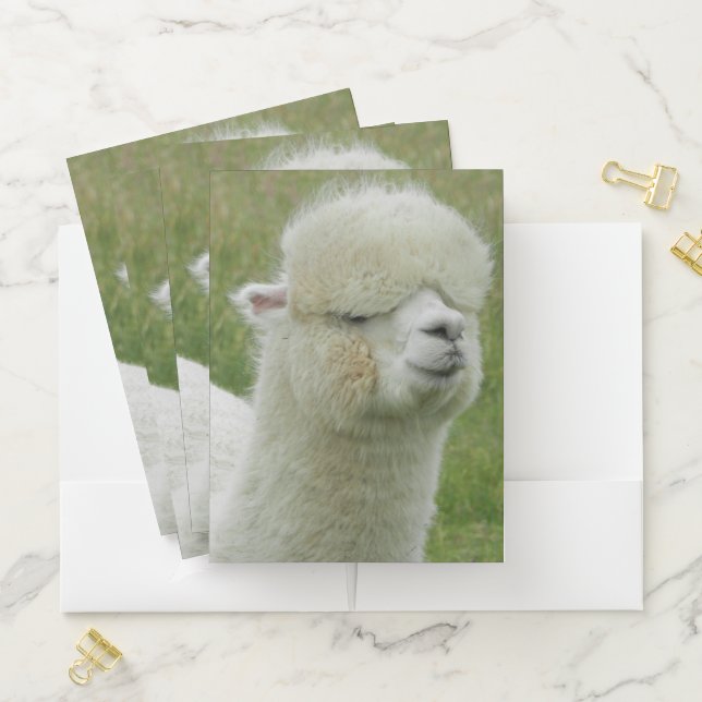 Llama Pocket Folder (In Situ)