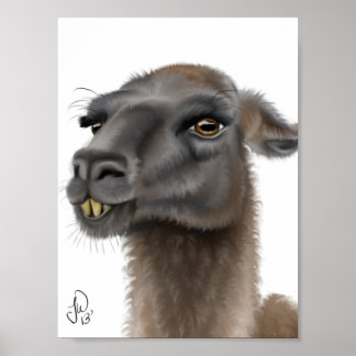 Llama Poster