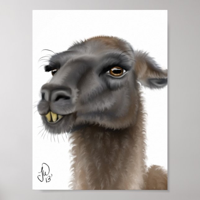 Llama Poster (Front)