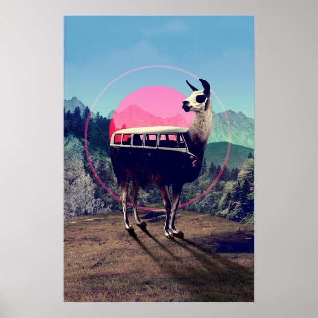 Llama Poster (Front)