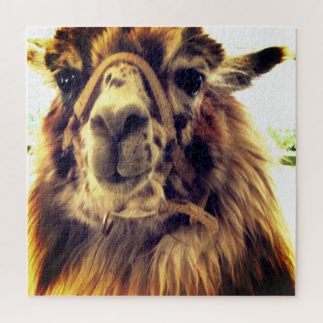 Llama Puzzle (Vertical)
