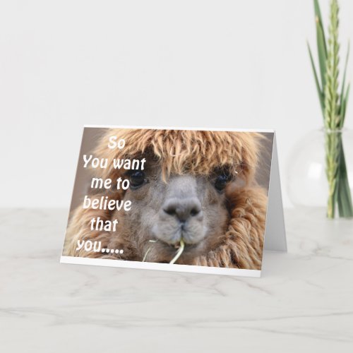 LLAMA SAYS NO WAY YOU ARE 50 BIRTHDAY HUMOR CARD