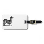Llama Sketch Design Luggage Tag Llama Sketch Design Luggage Tag