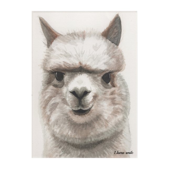 Llama Smile Custom Acrylic Watercolor Art Piece (Front)