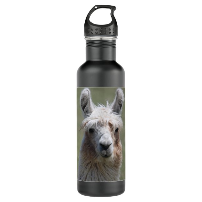 Llama Stainless Steel Water Bottle (Front)