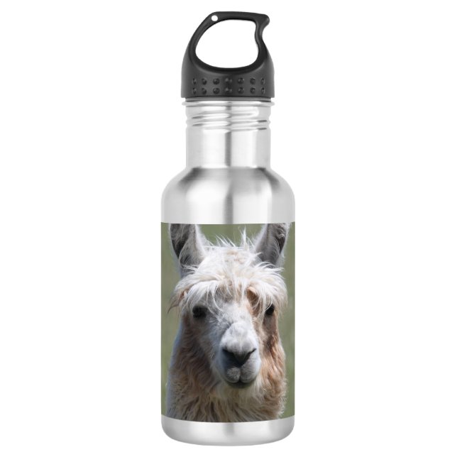 Llama Stainless Steel Water Bottle (Front)