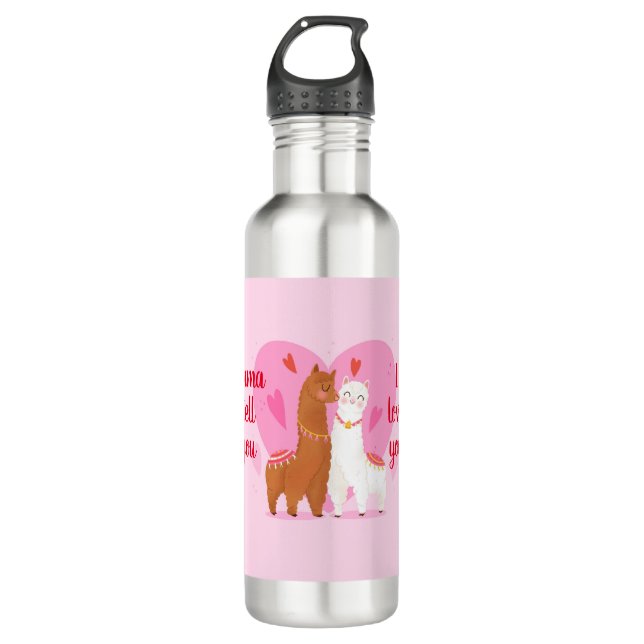 Llama Tell you  Stainless Steel Water Bottle (Front)