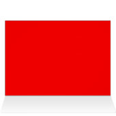 Llama: the lonestar llama of texas (Inside Horizontal (Top))