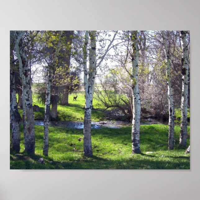 Llama Through Trees Poster (Front)