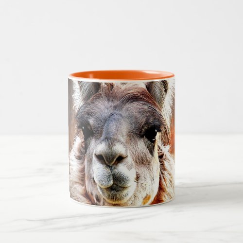 Llama Two_Tone Coffee Mug
