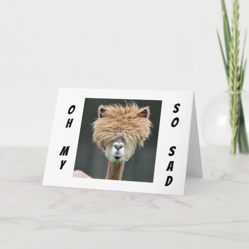 LLAMA WANTS YOU TO GET WELL SOON CARD