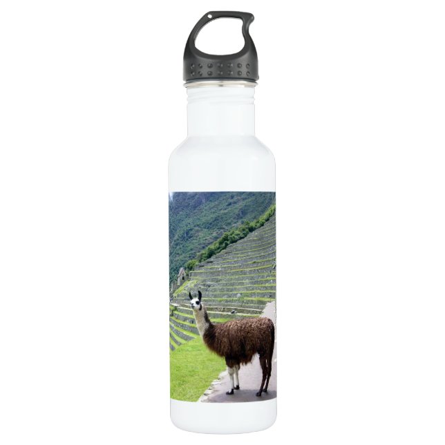 llama water bottle (Front)