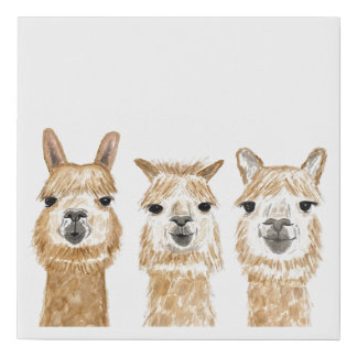Llama watercolor canvas