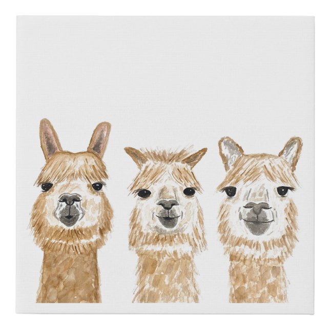 Llama watercolor canvas (Front)