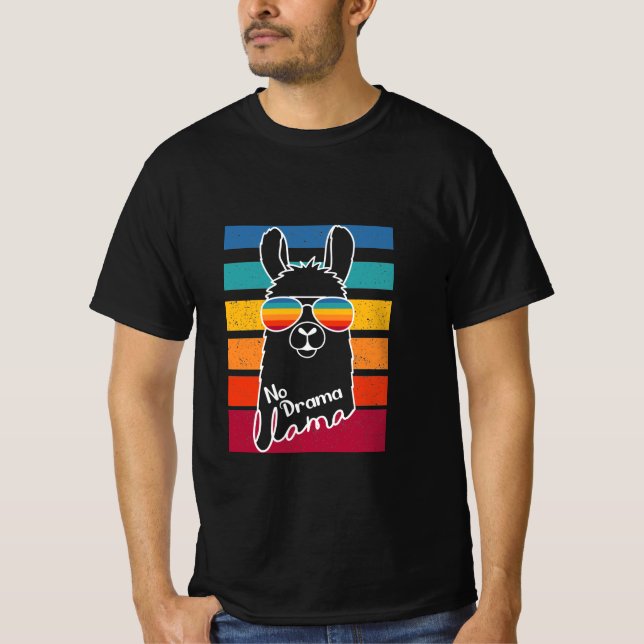 Llama Wearing Sunglasses With Colorful Strips T-Shirt (Front)