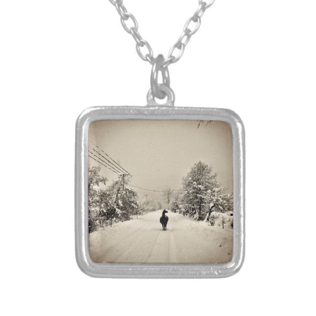 llama winter silver plated necklace (Front)