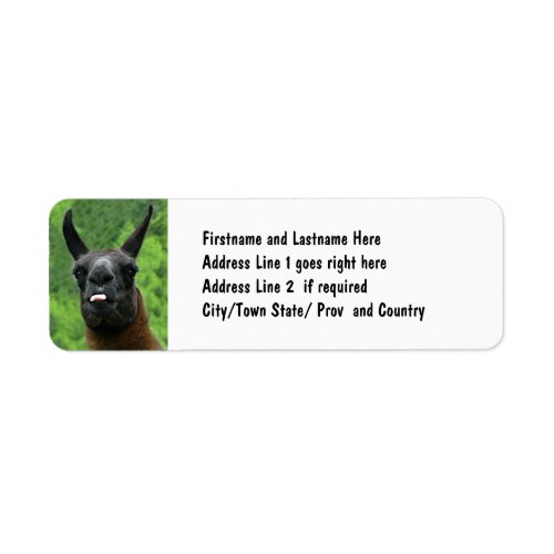 Llama with Attitude _ Sticking out Tongue Photo Label