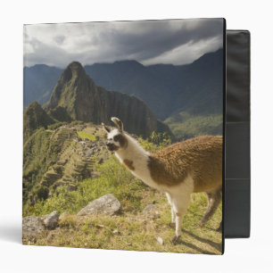 LLamas and an over look of Machu Picchu, Binder