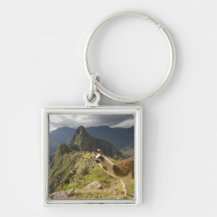 LLamas and an over look of Machu Picchu, Keychain