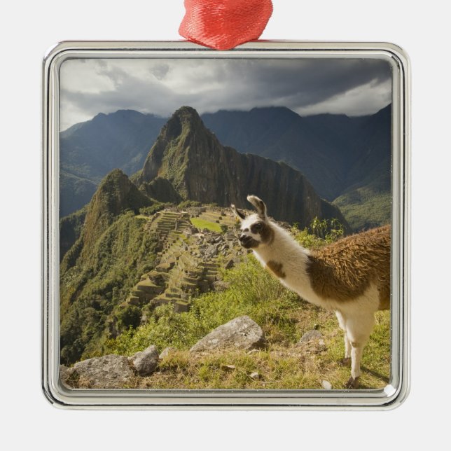 LLamas and an over look of Machu Picchu, Metal Ornament (Front)