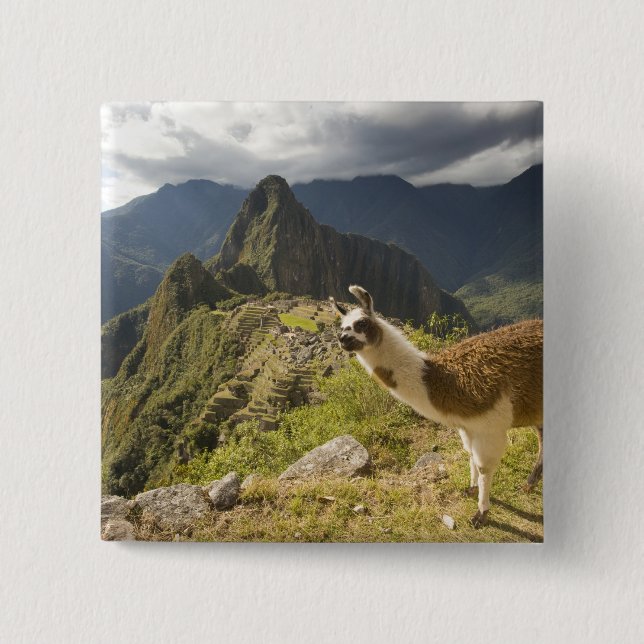 LLamas and an over look of Machu Picchu, Pinback Button (Front)