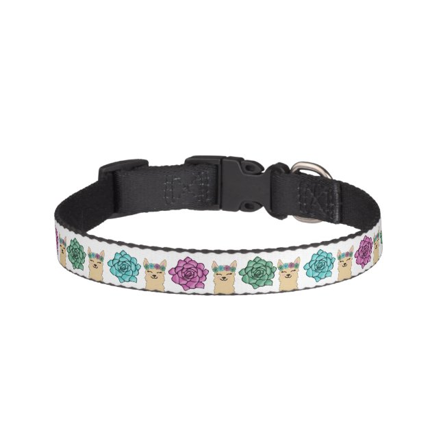 Llamas and succulents pet collar (Front)
