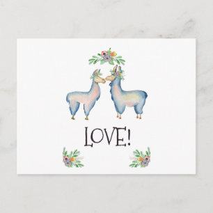 Llama's In Love Postcard