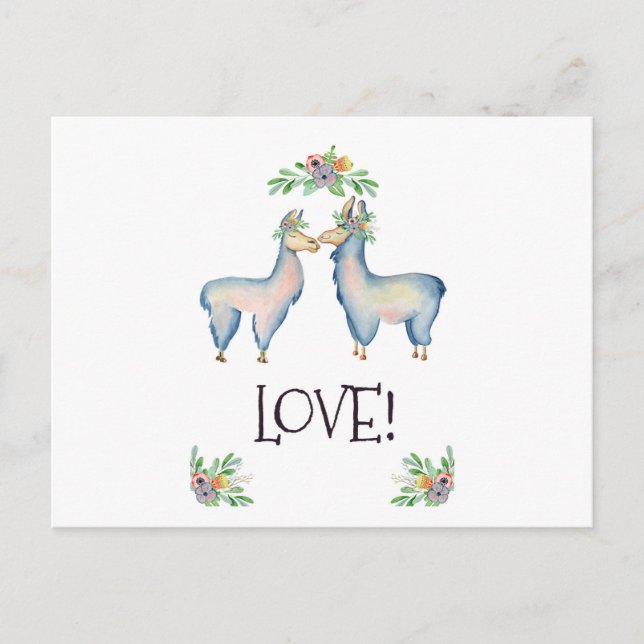 Llama's In Love Postcard (Front)