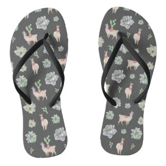 Llamas in the desert with cacti and amaryllis flip flops
