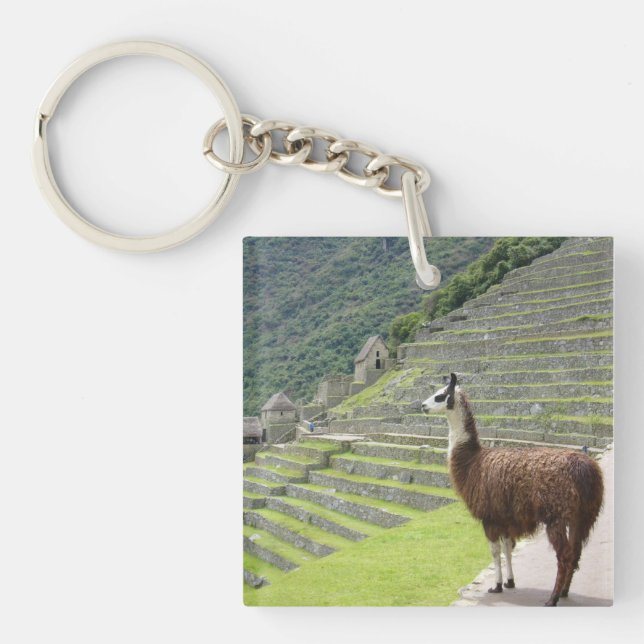 llamas keychain (Front)