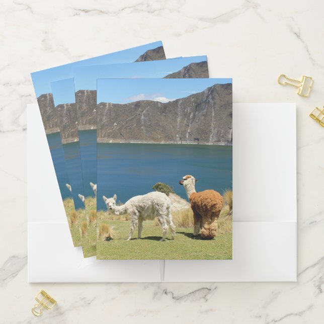 llamas pocket folder (In Situ)