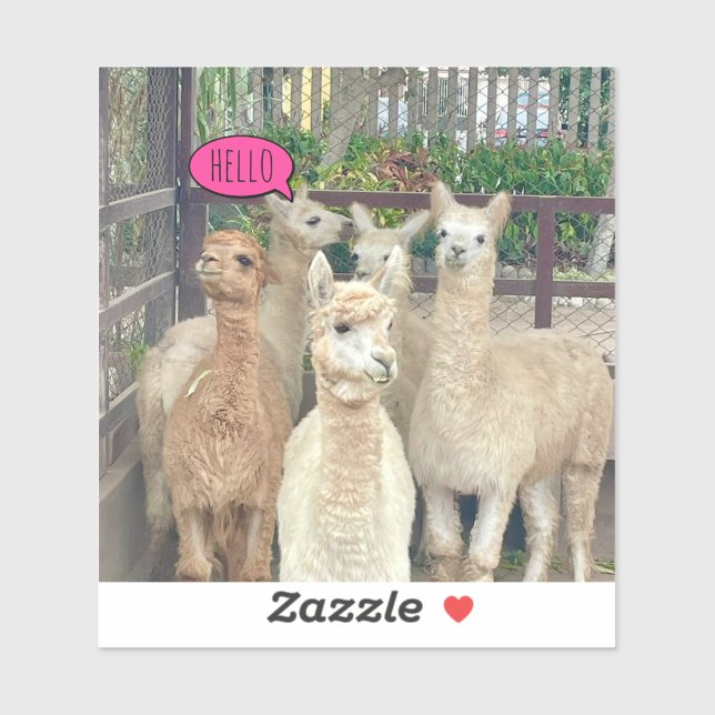 Llamas ready to party on an acrylic sticker (Sheet)