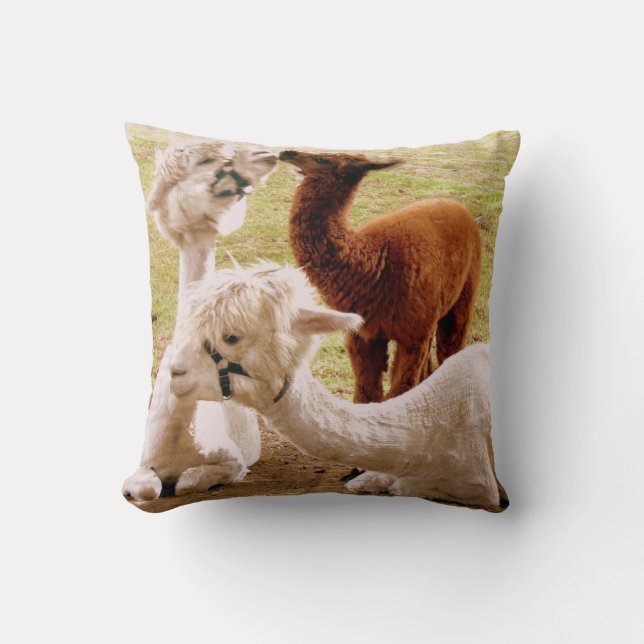 Llamas With Baby Cria Cushion (Front)