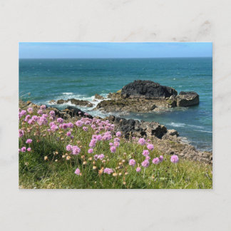 Llanddwyn Anglesey  Postcard