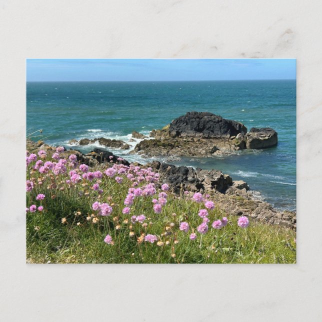 Llanddwyn Anglesey  Postcard (Front)