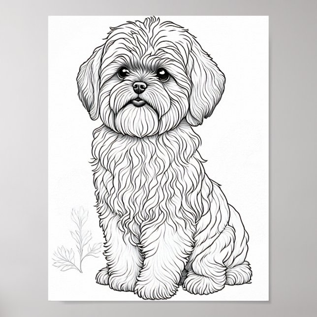 Llasa Apso Dog Adult Coloring Poster (Front)